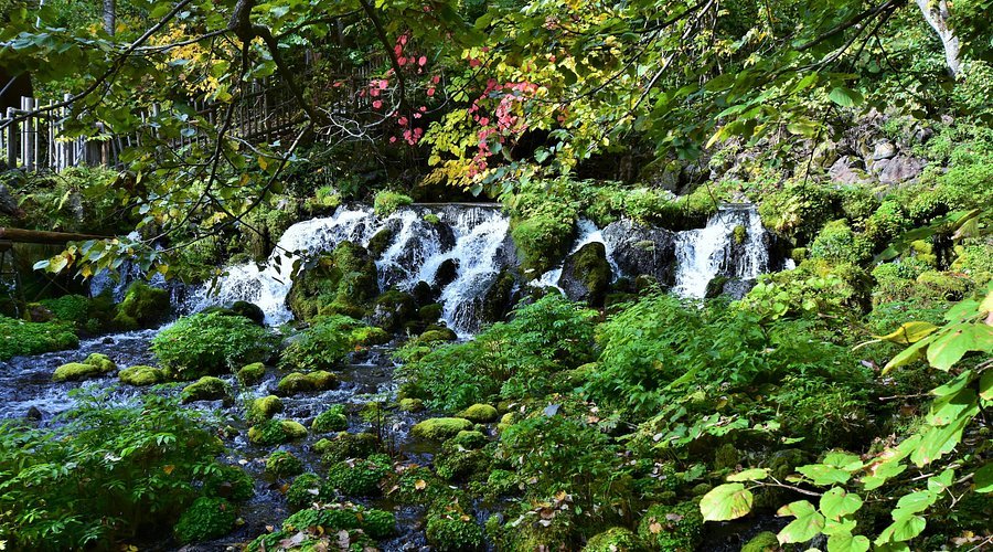 🏞️ 분출 공원 (후키다시 코엔) 이미지 8